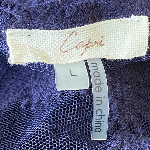 πHOST PICKπ Capri Sioni Sheer Embroidered Top - Picture 5 of 9